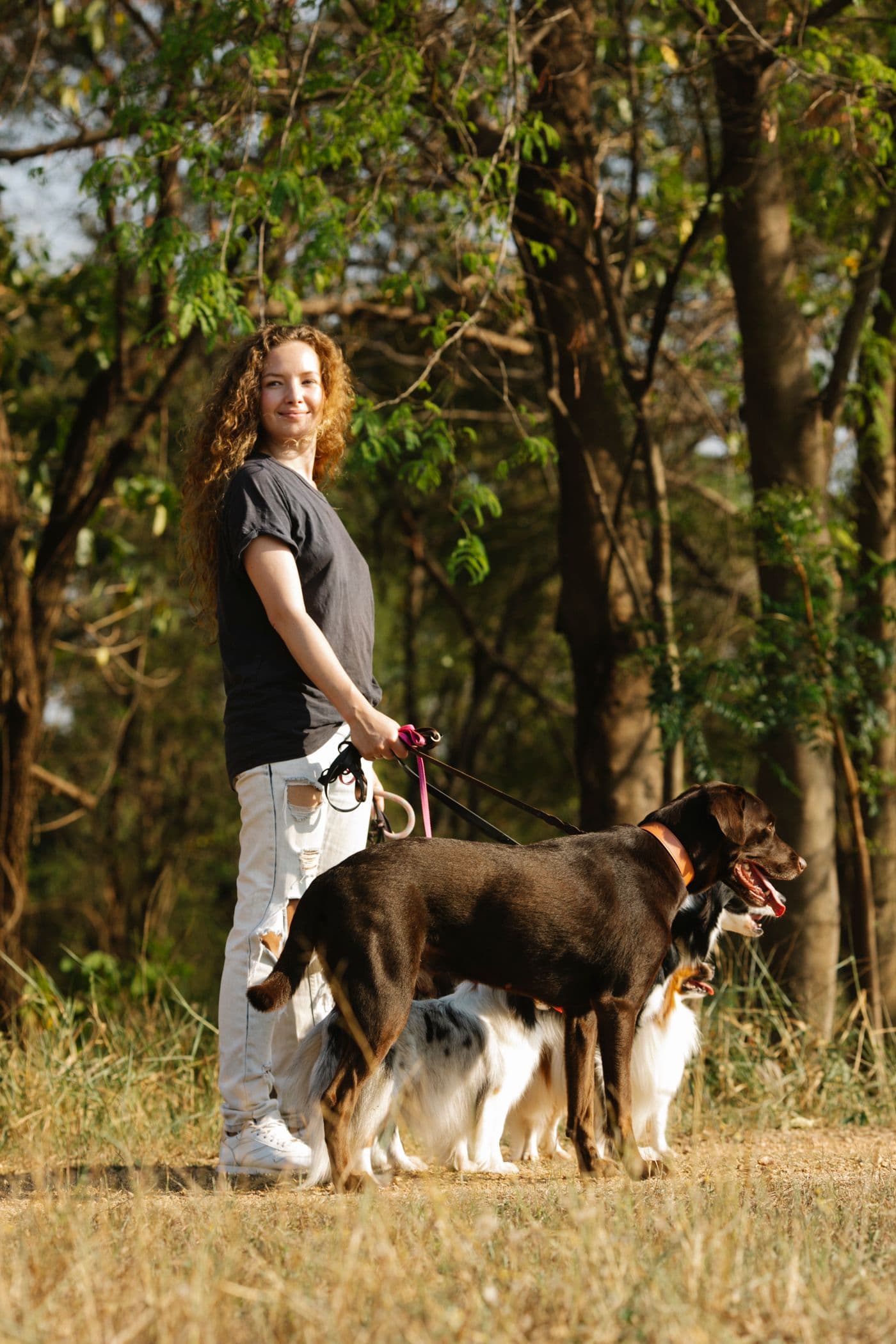 A smiling local dog walker out on a sunlit path with a friendly pack of dogs on their leads