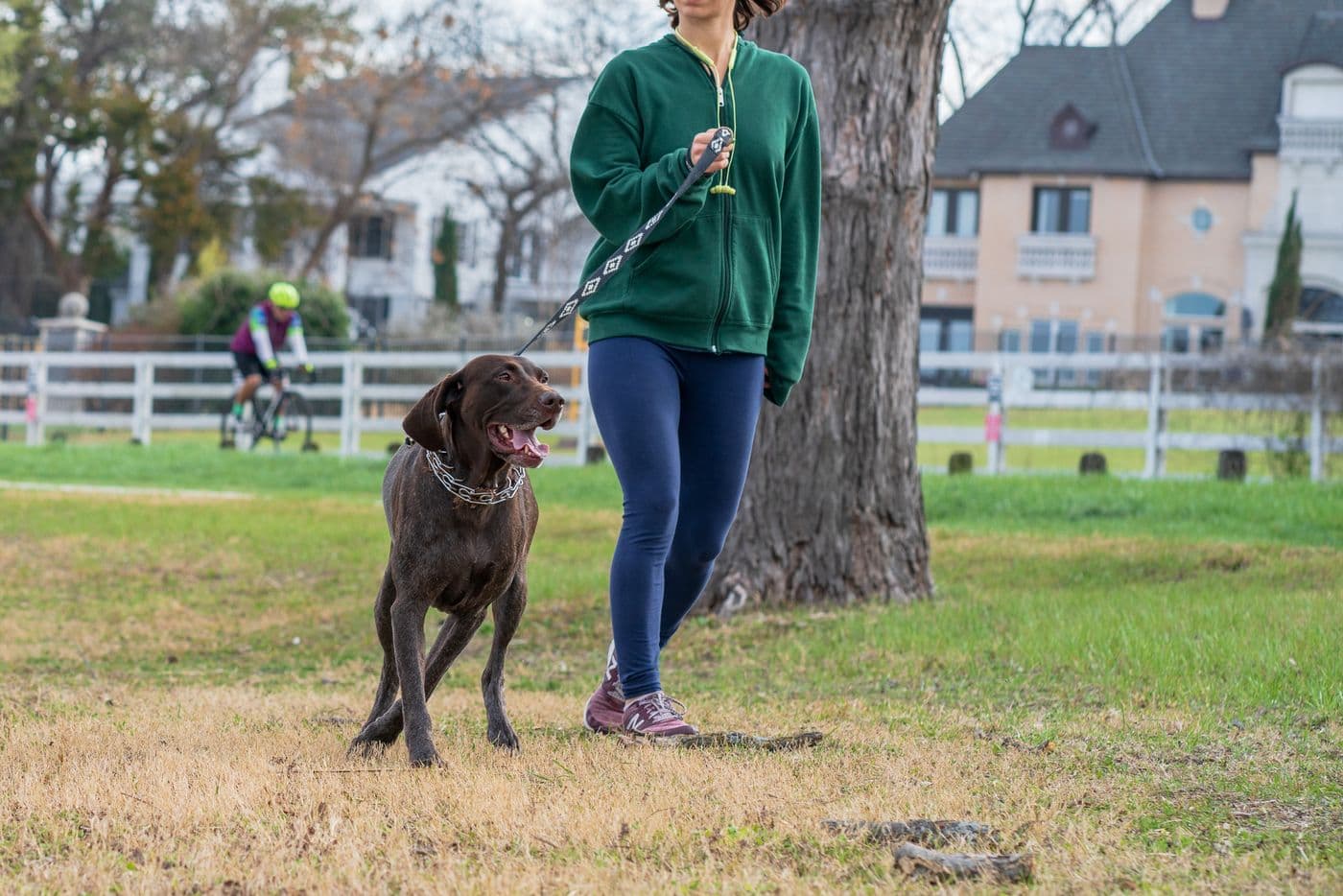 An owner walking their dog on a lead through a leafy local park